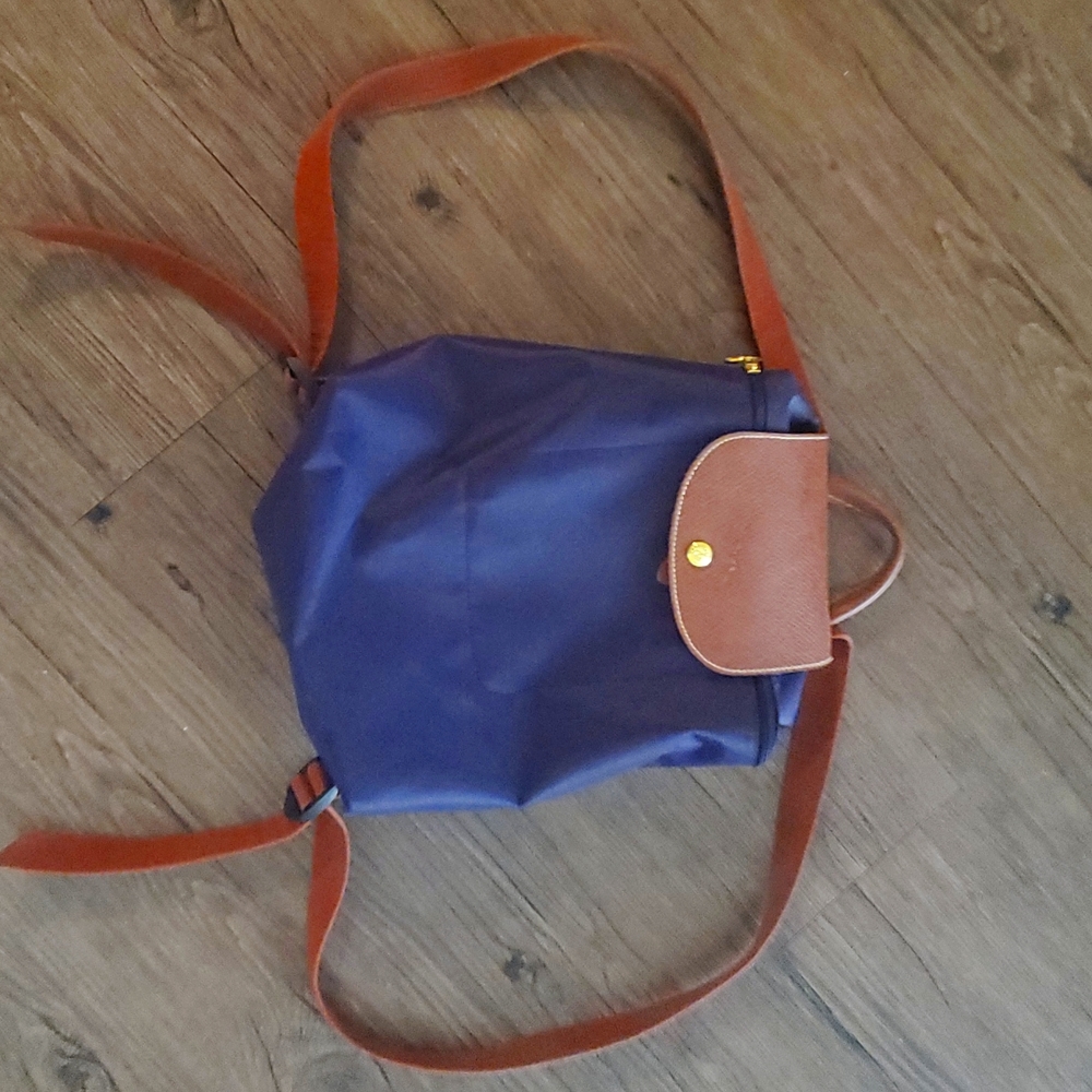 Longchamp Backpack - image 1